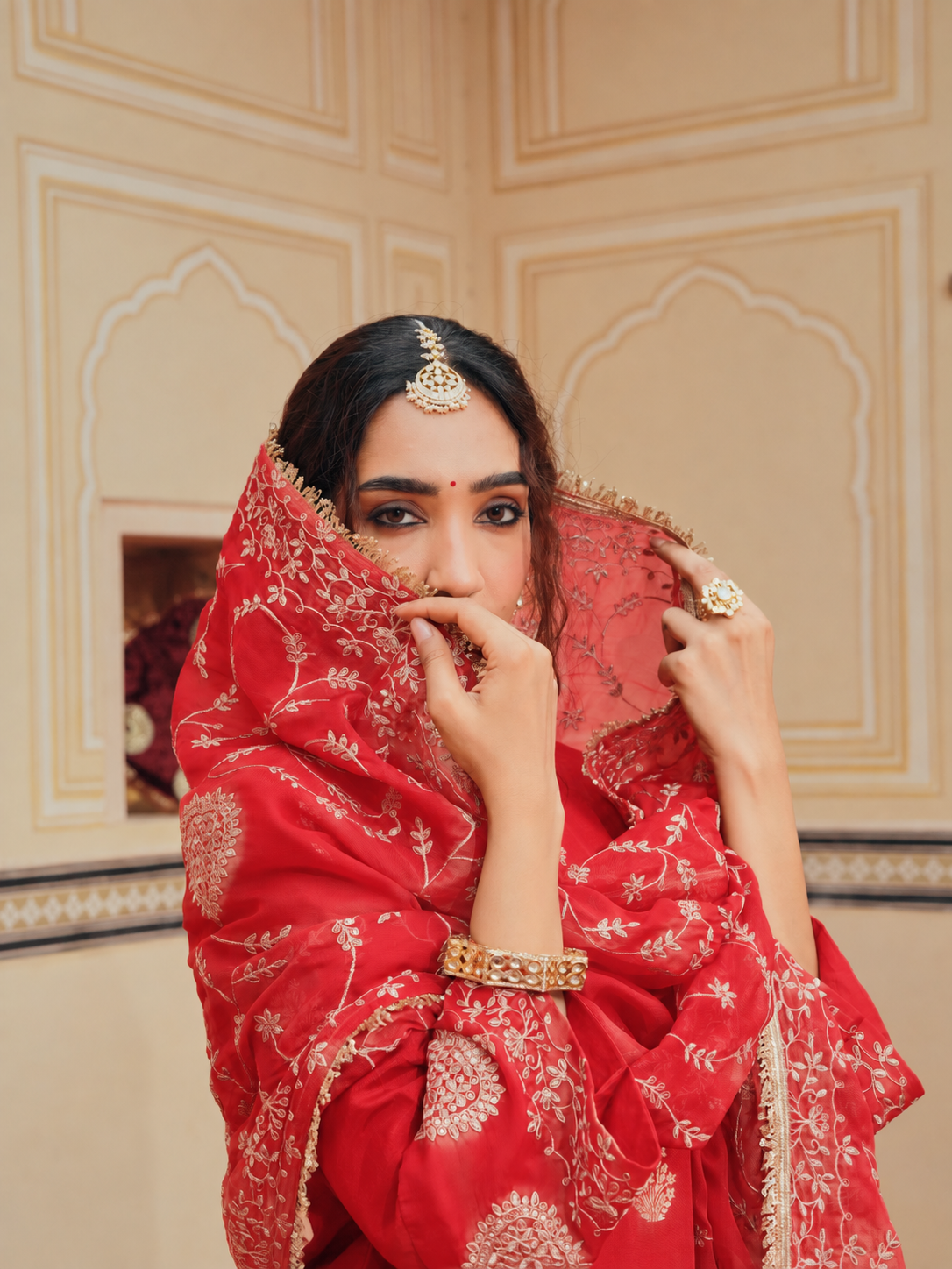 Crimson Red Woven Banarsi Silk Sharara Set