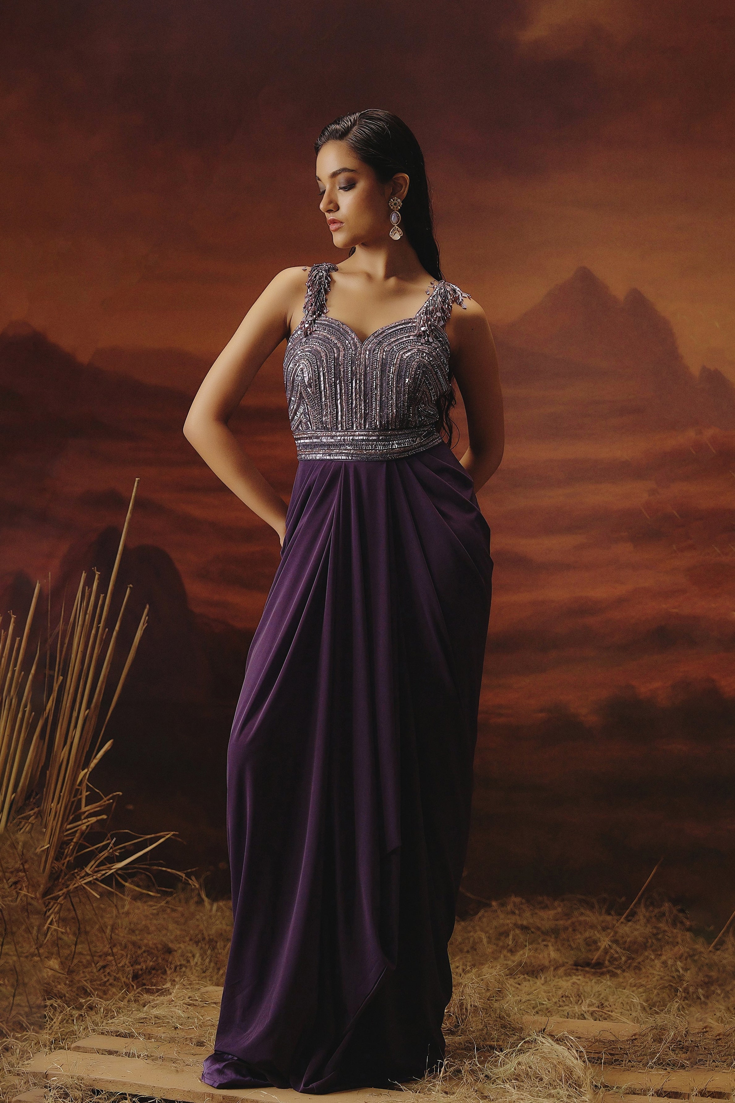 Deep Plum Embellished Spandex Lycra Gown