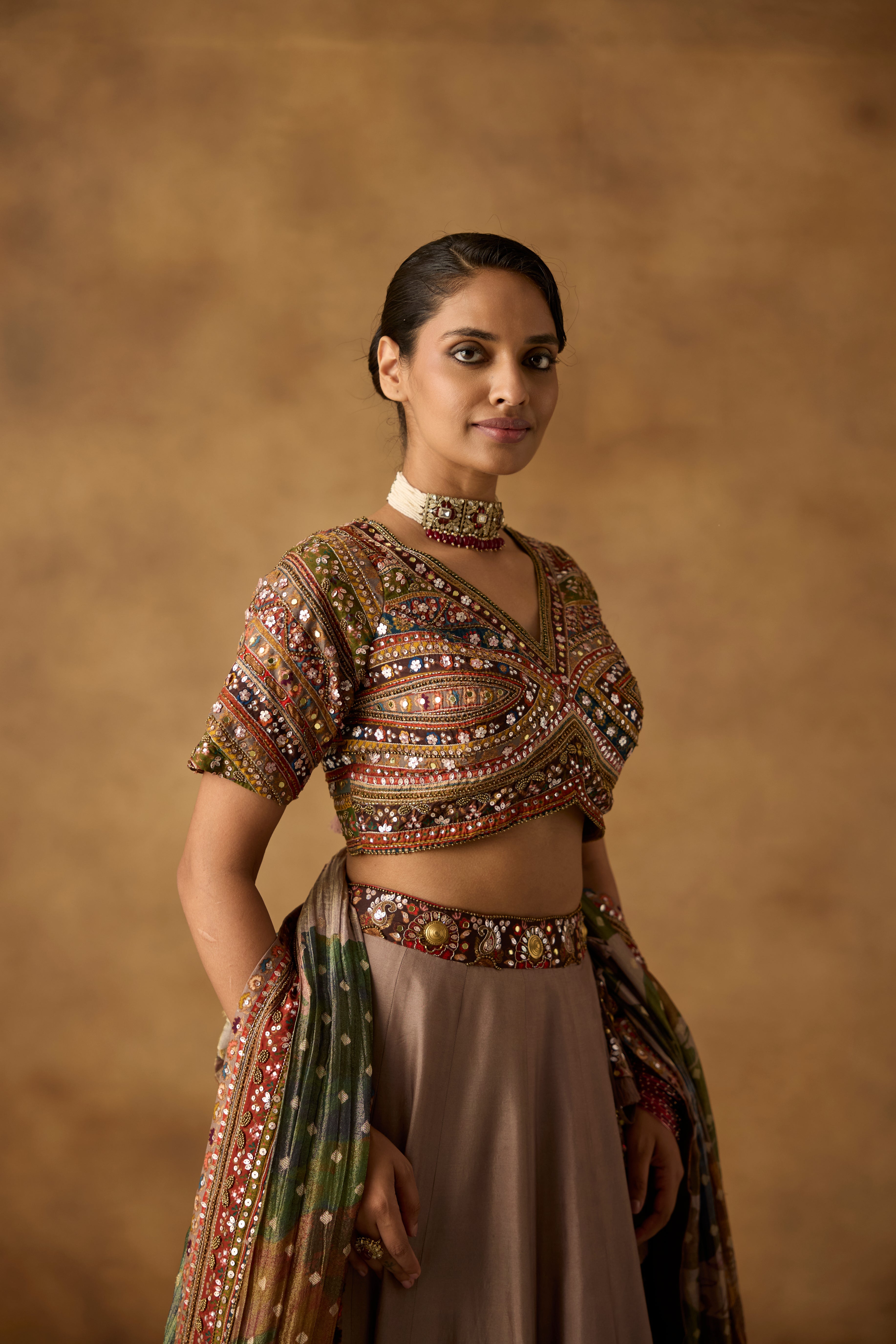 Taupe Multi Embellished Dola Silk Lehenga Set