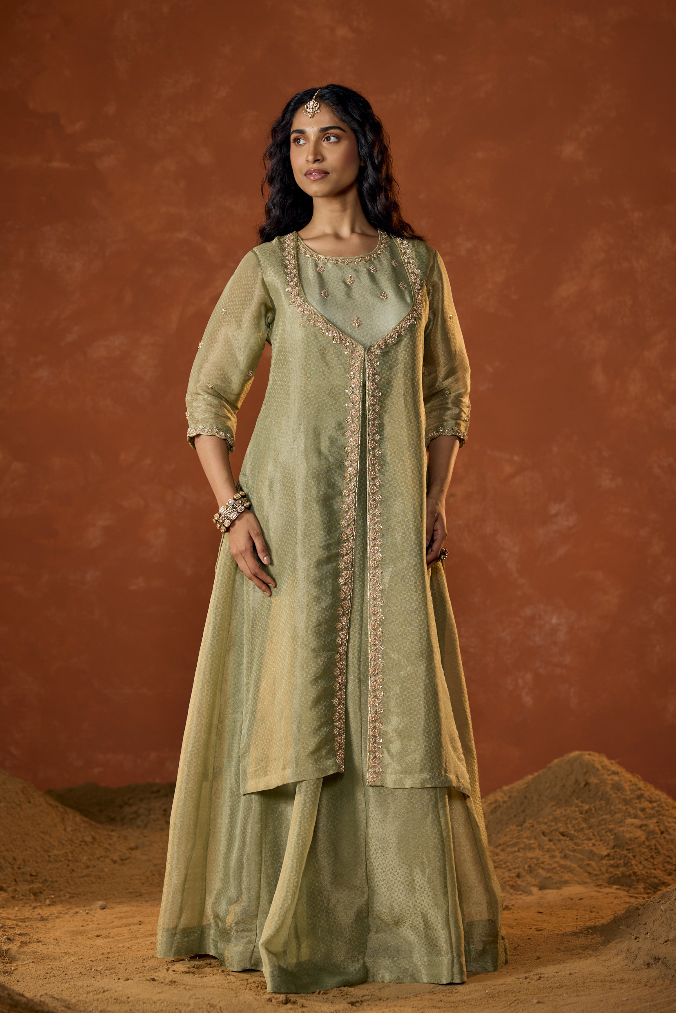 Pistachio Green Embellished Shimmer Tissue Silk Gown Set