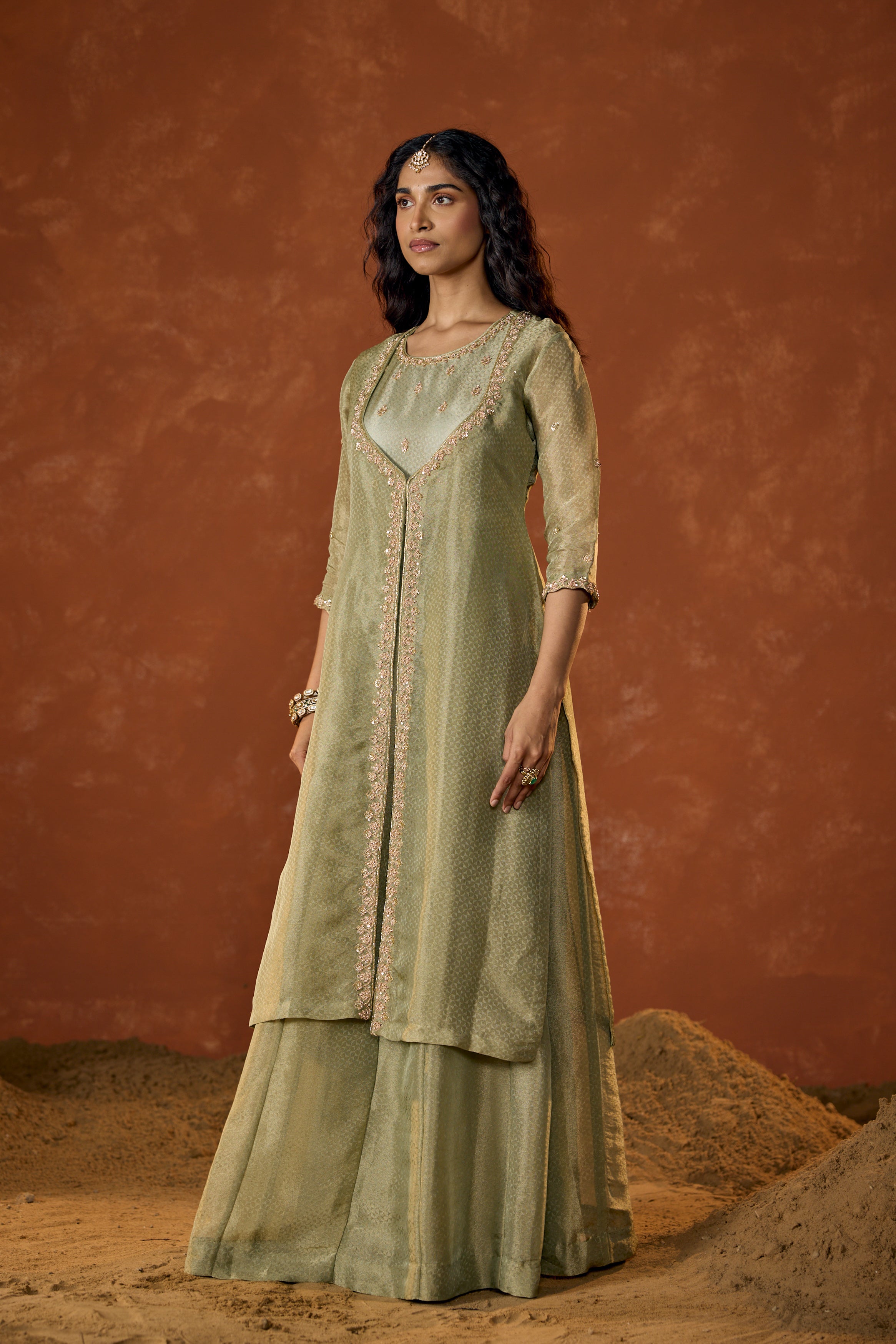 Pistachio Green Embellished Shimmer Tissue Silk Gown Set