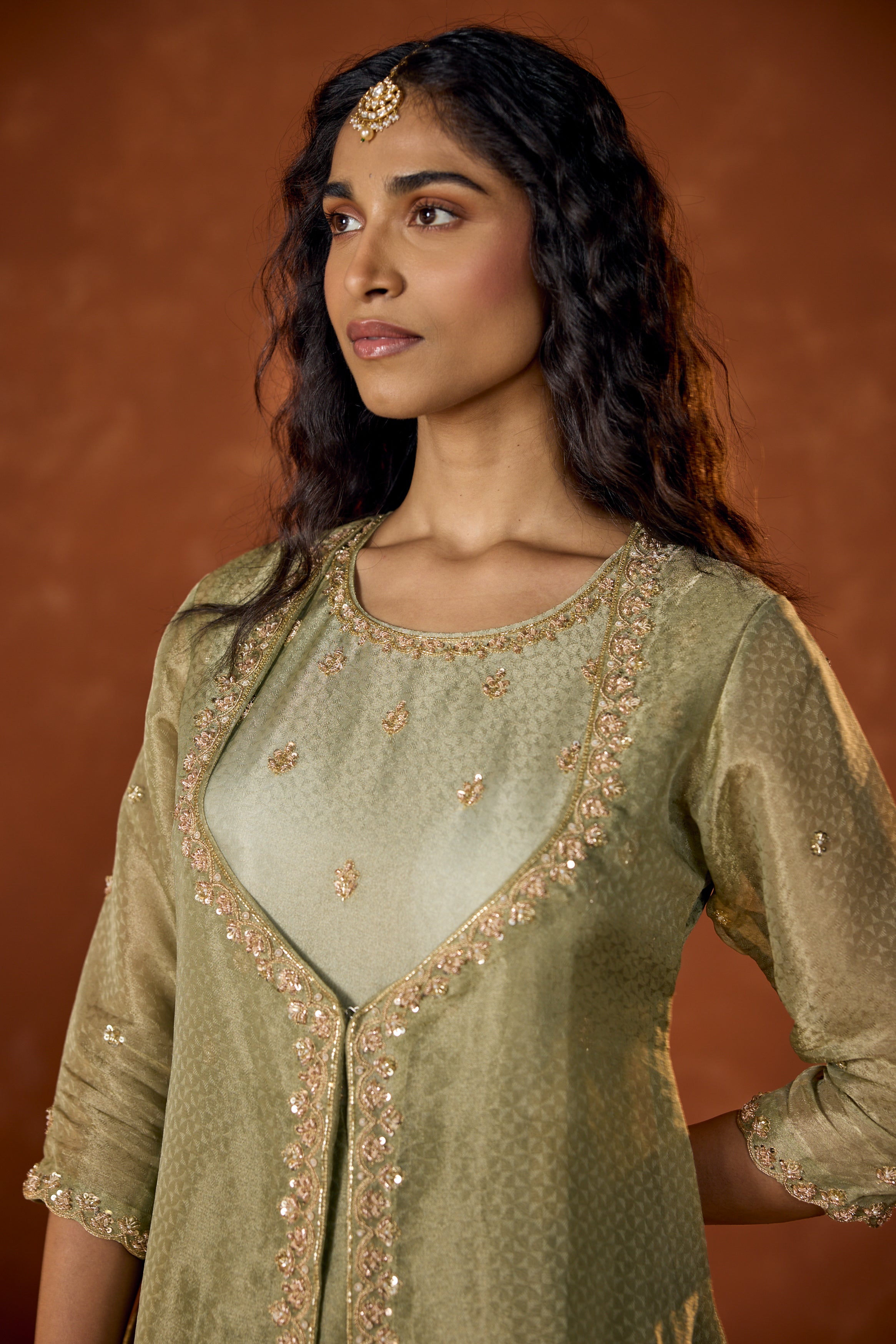 Pistachio Green Embellished Shimmer Tissue Silk Gown Set