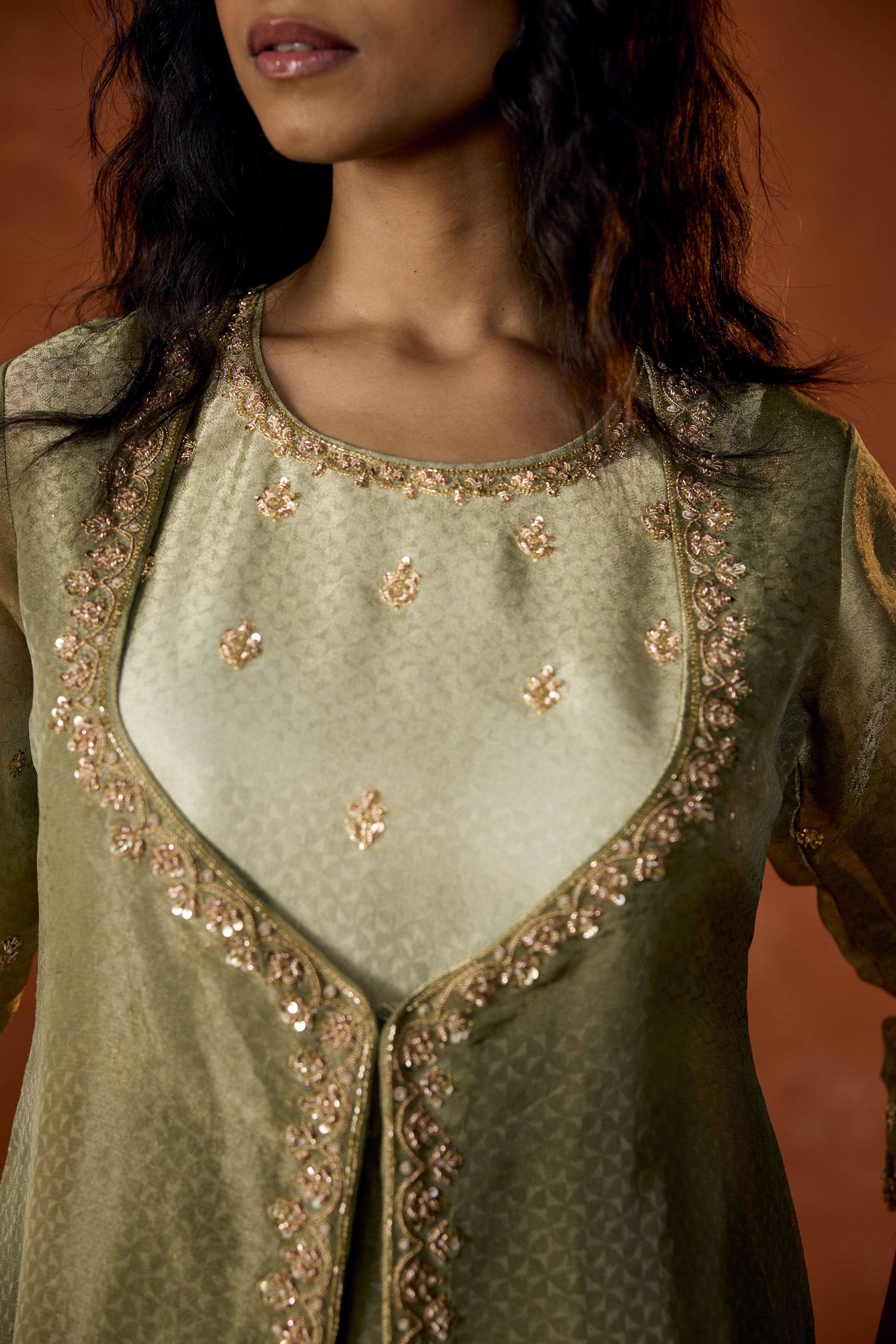 Pistachio Green Embellished Shimmer Tissue Silk Gown Set