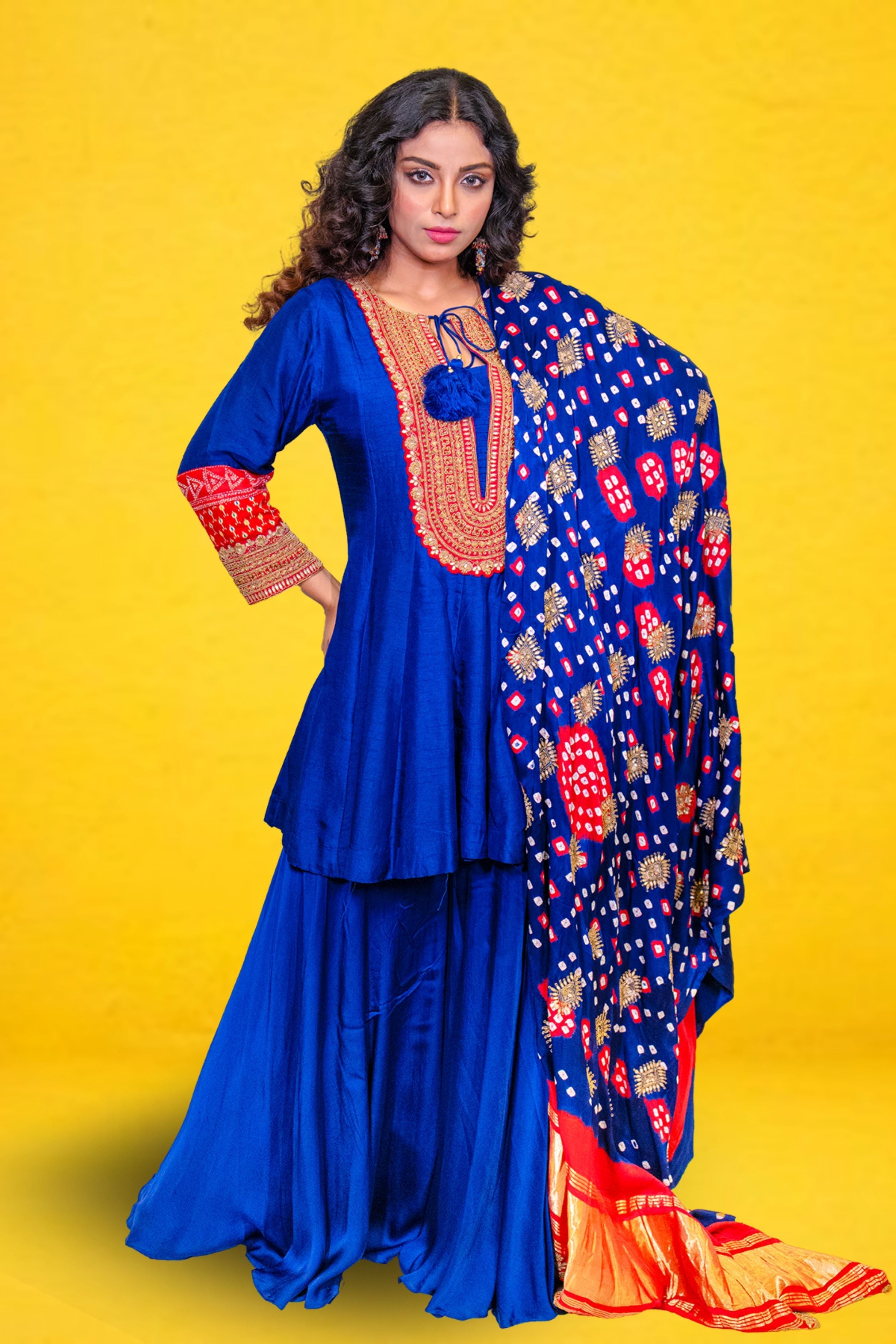 Blue Embellished Chennai Silk Sharara Set