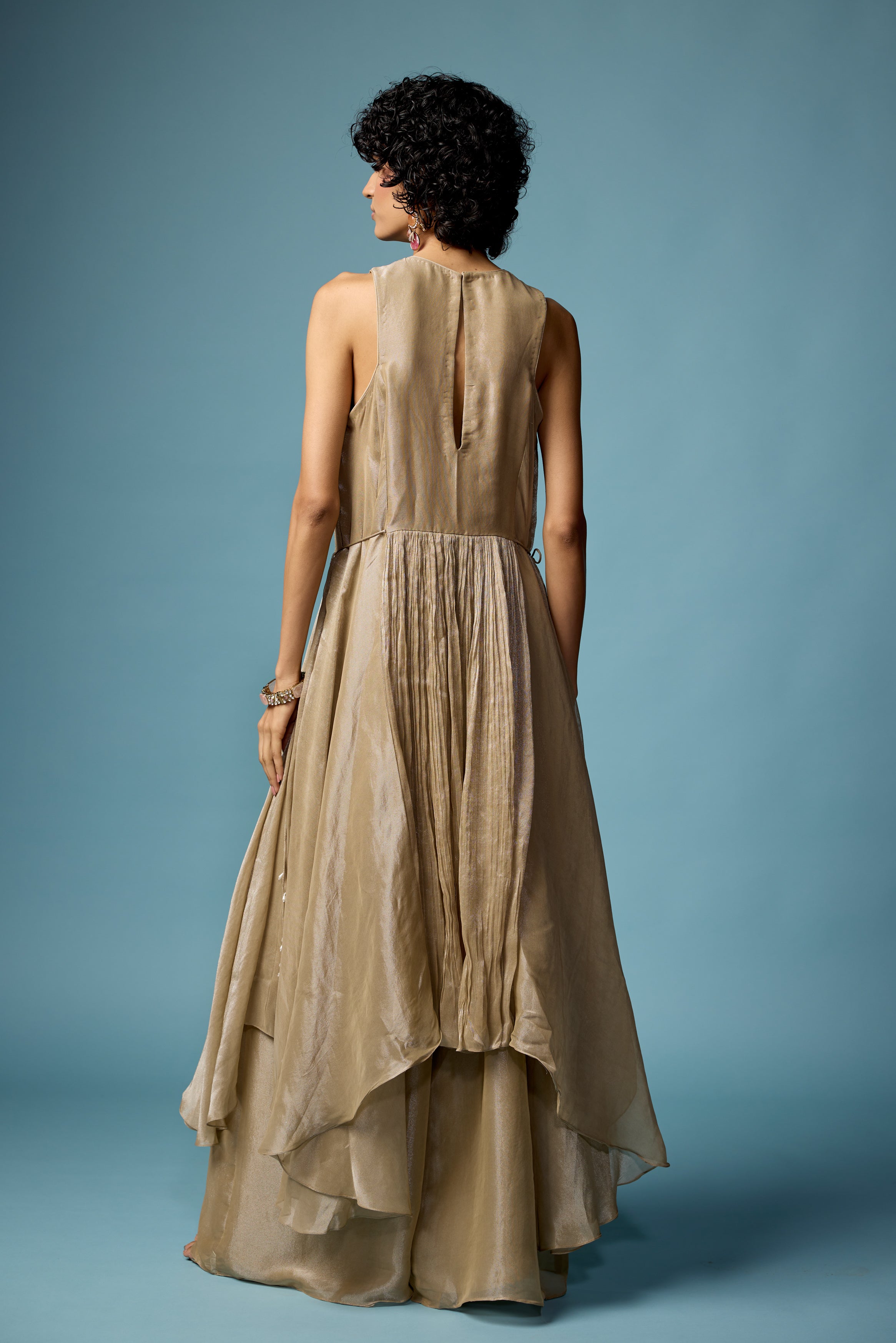 Champagne Beige Embellished Organza Silk Sharara Set