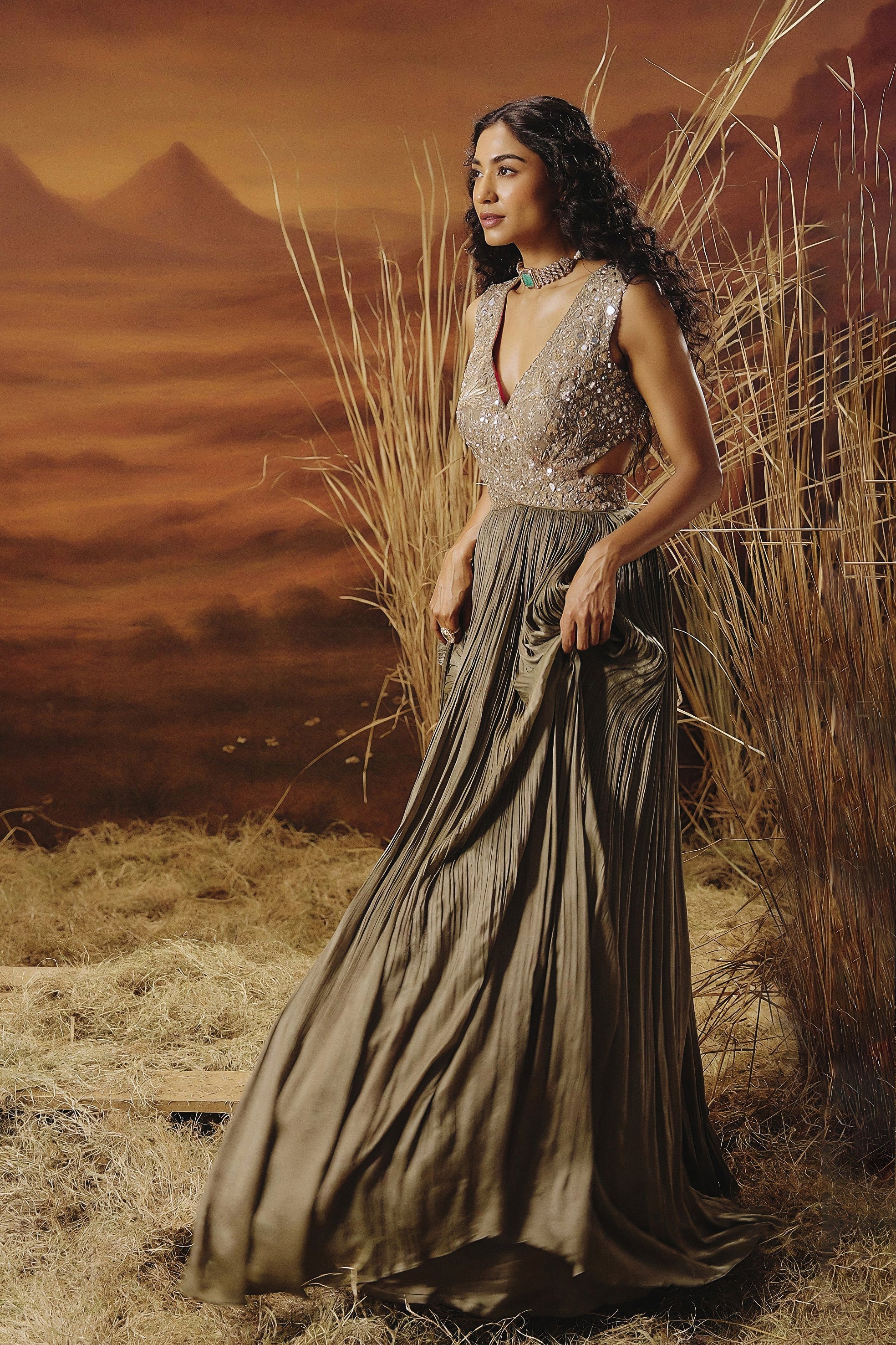 Bronze Embellished Crepe Silk Gown