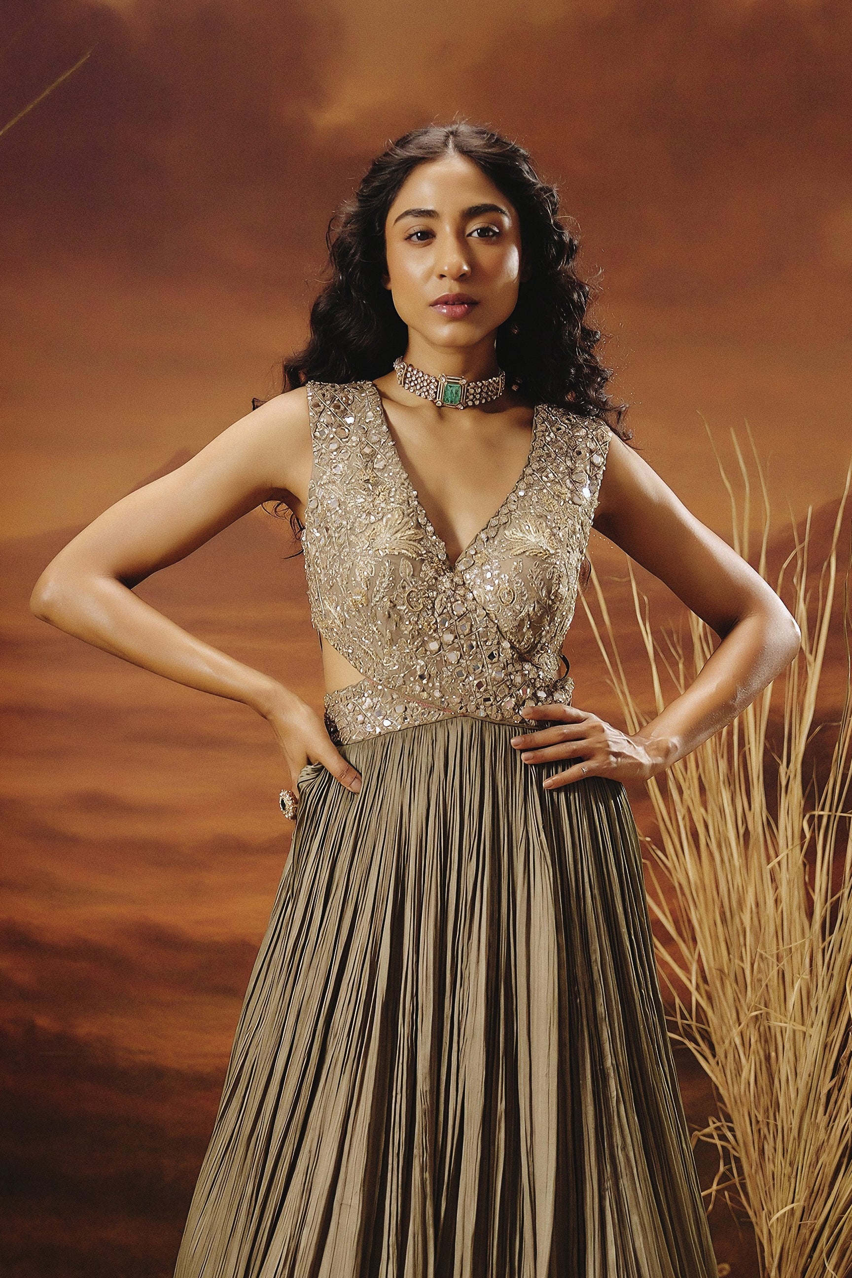 Bronze Embellished Crepe Silk Gown