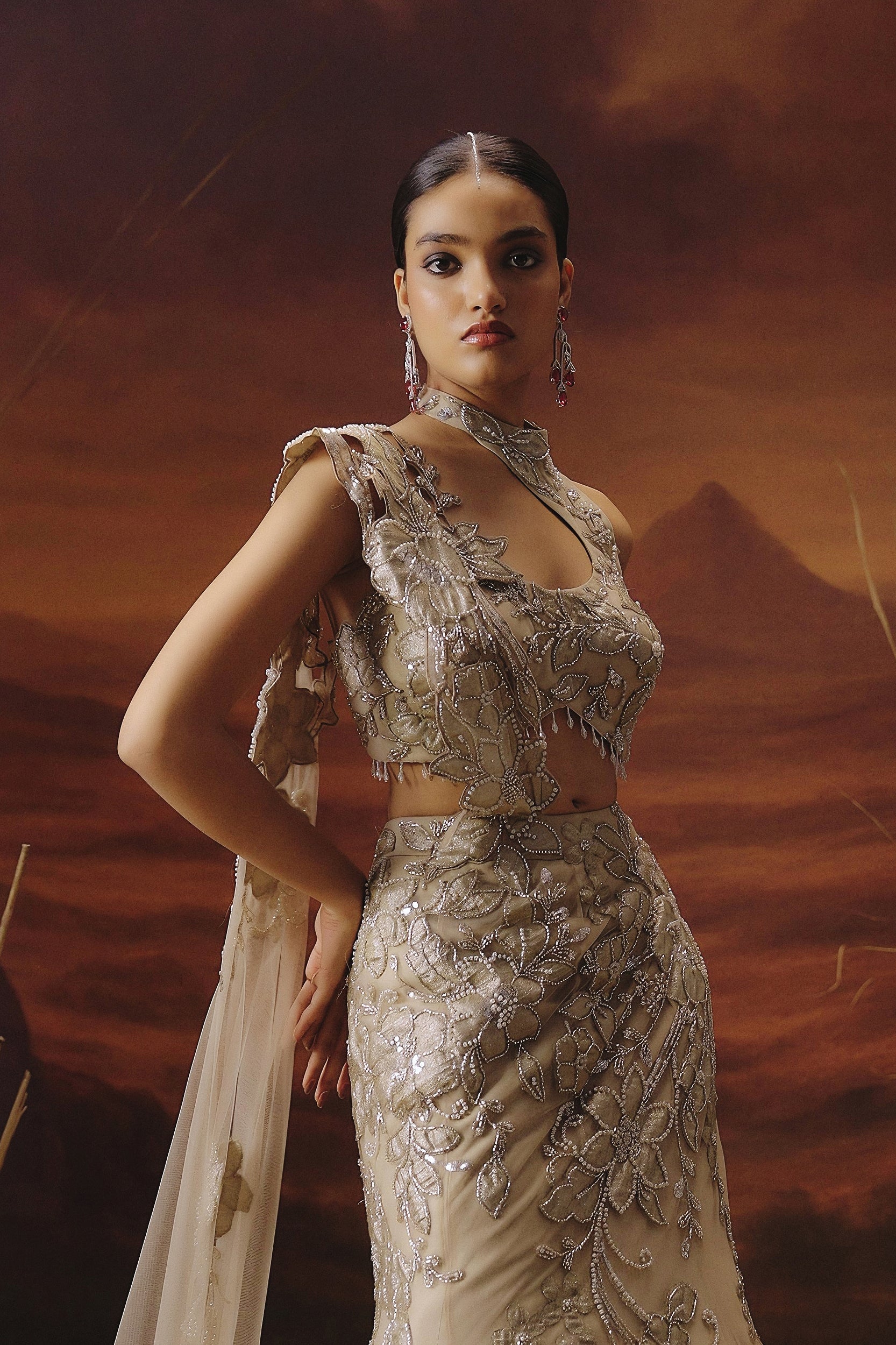 Champagne Beige Embellished Premium Mono Net Lehenga Set
