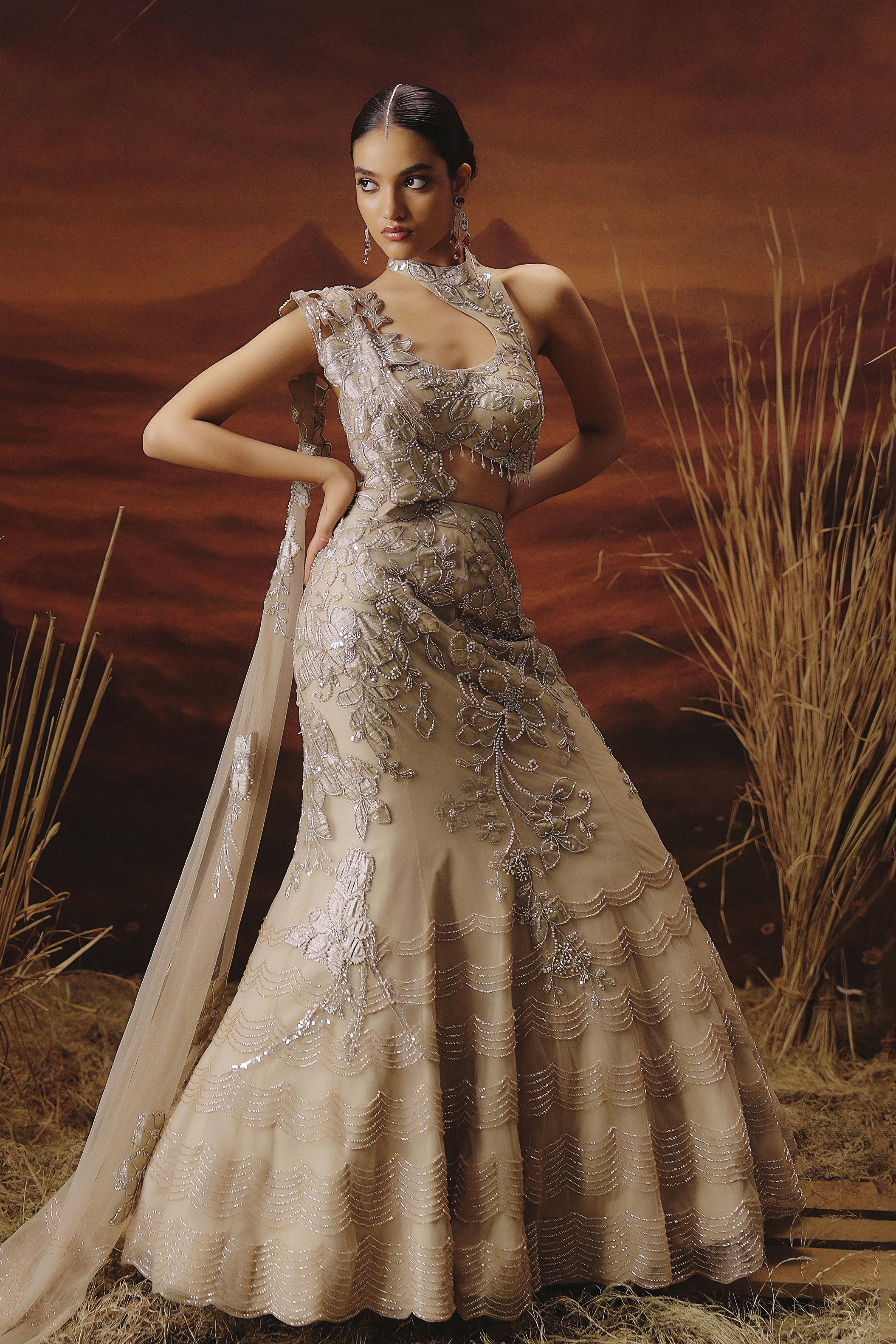 Champagne Beige Embellished Premium Mono Net Lehenga Set