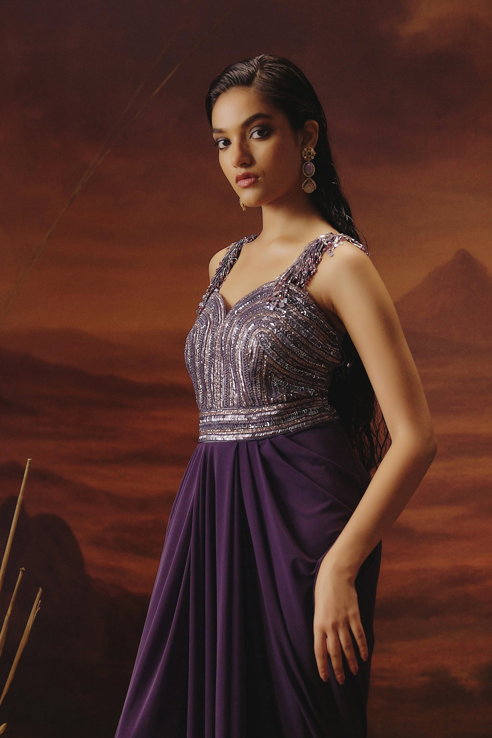 Deep Plum Embellished Spandex Lycra Gown