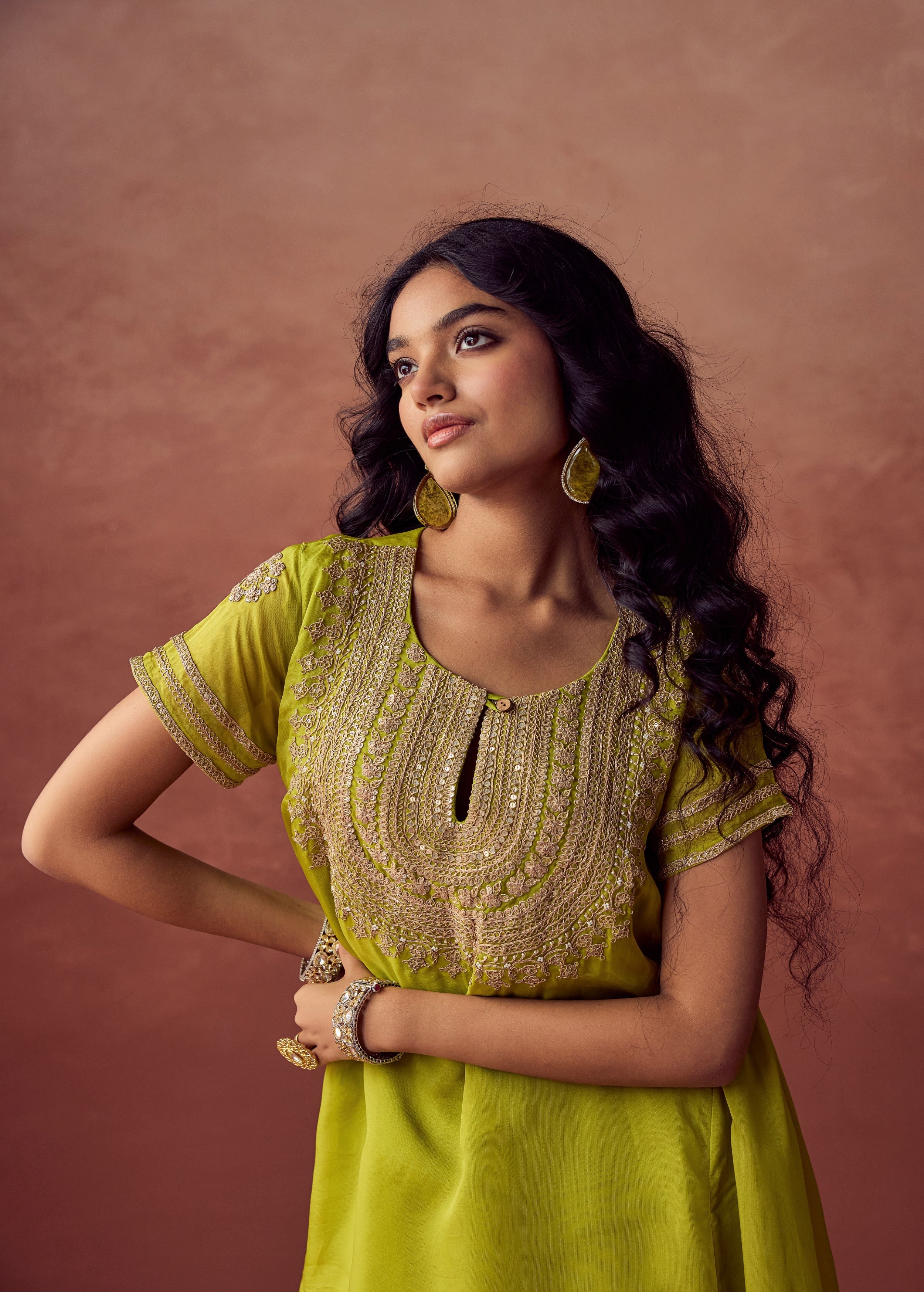 Lime Green Embroidered Organza Silk Skirt Set