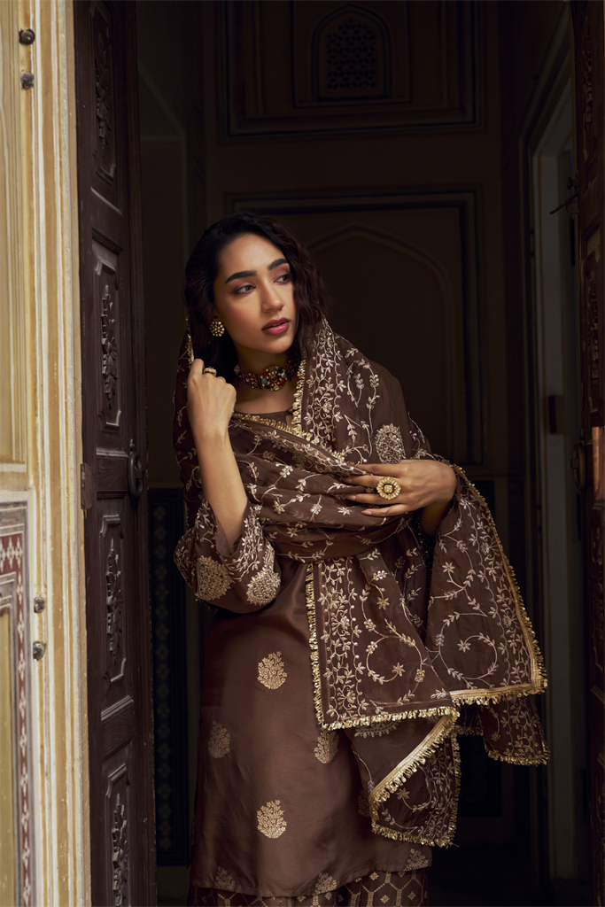Brown Embellished Pure Banarasi Sharara Set