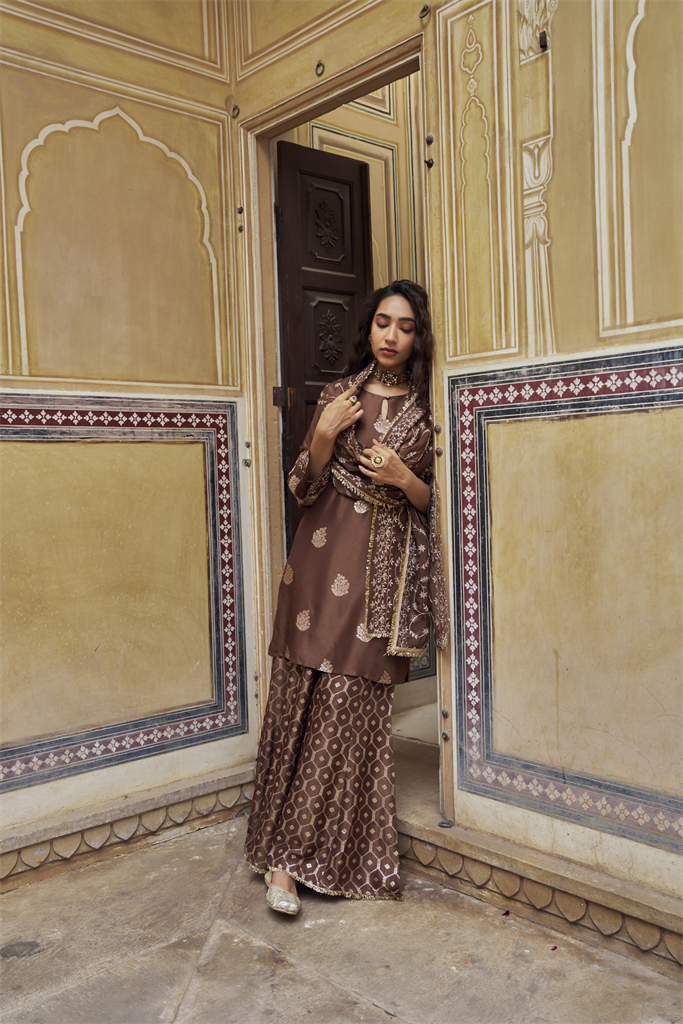 Brown Embellished Pure Banarasi Sharara Set