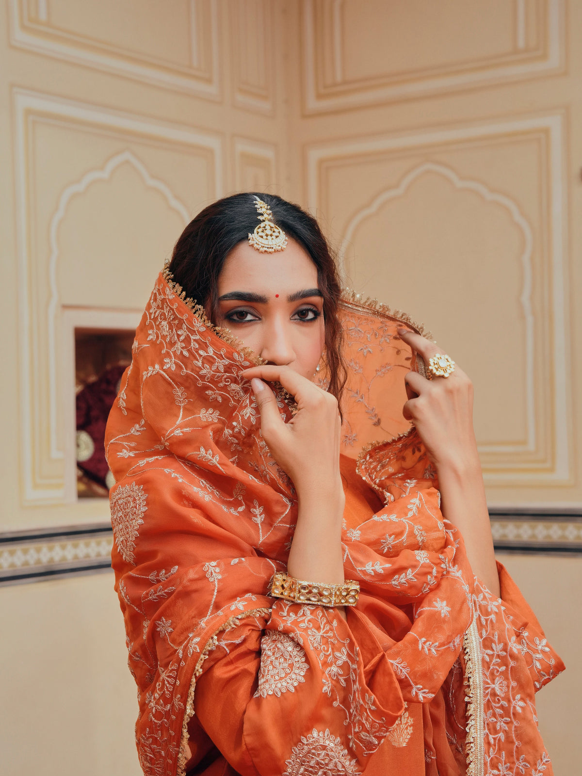 Rust Orange Embellished Pure Banarasi Sharara Set