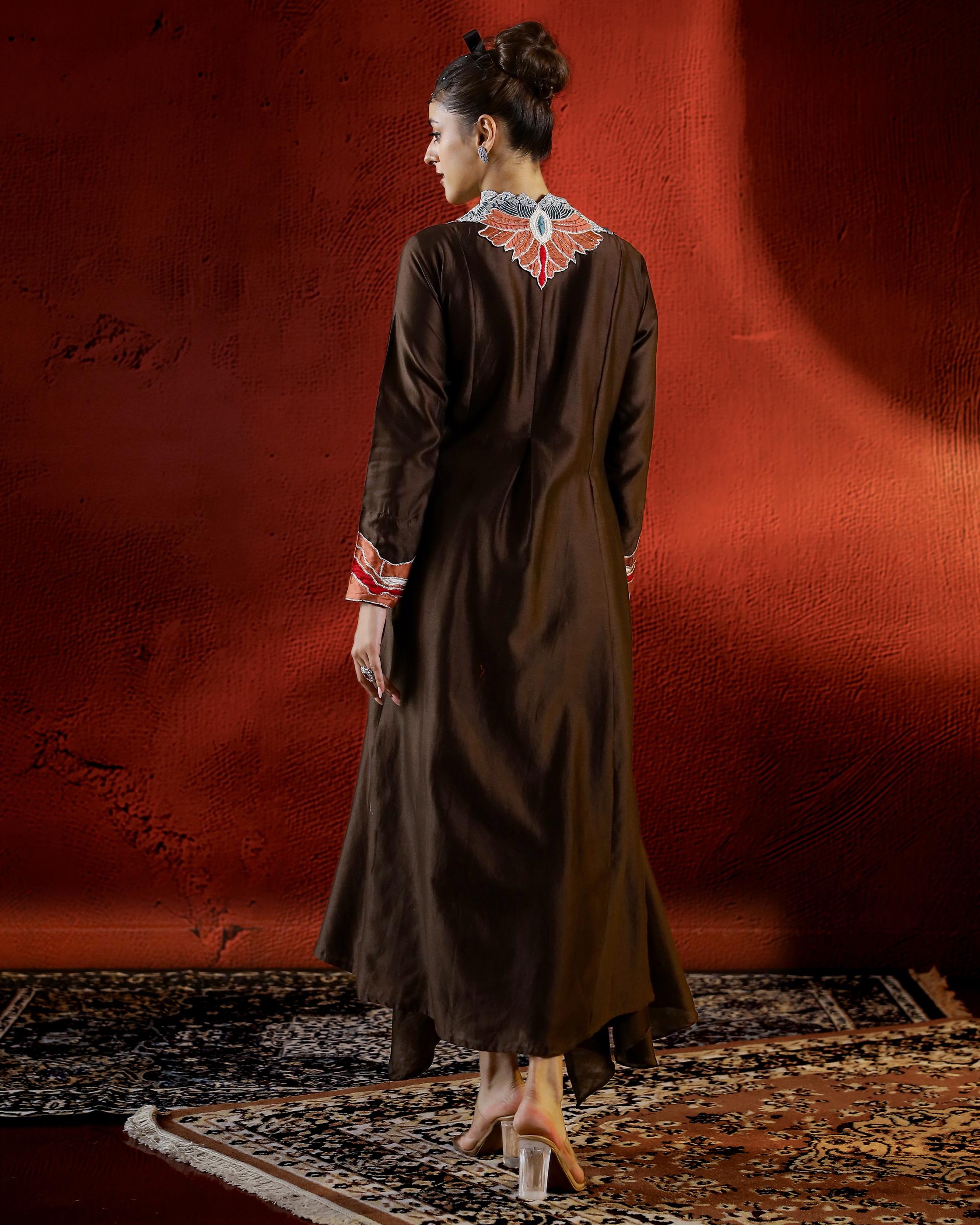 Brown Embroidered Raw Silk Tunic with Pants