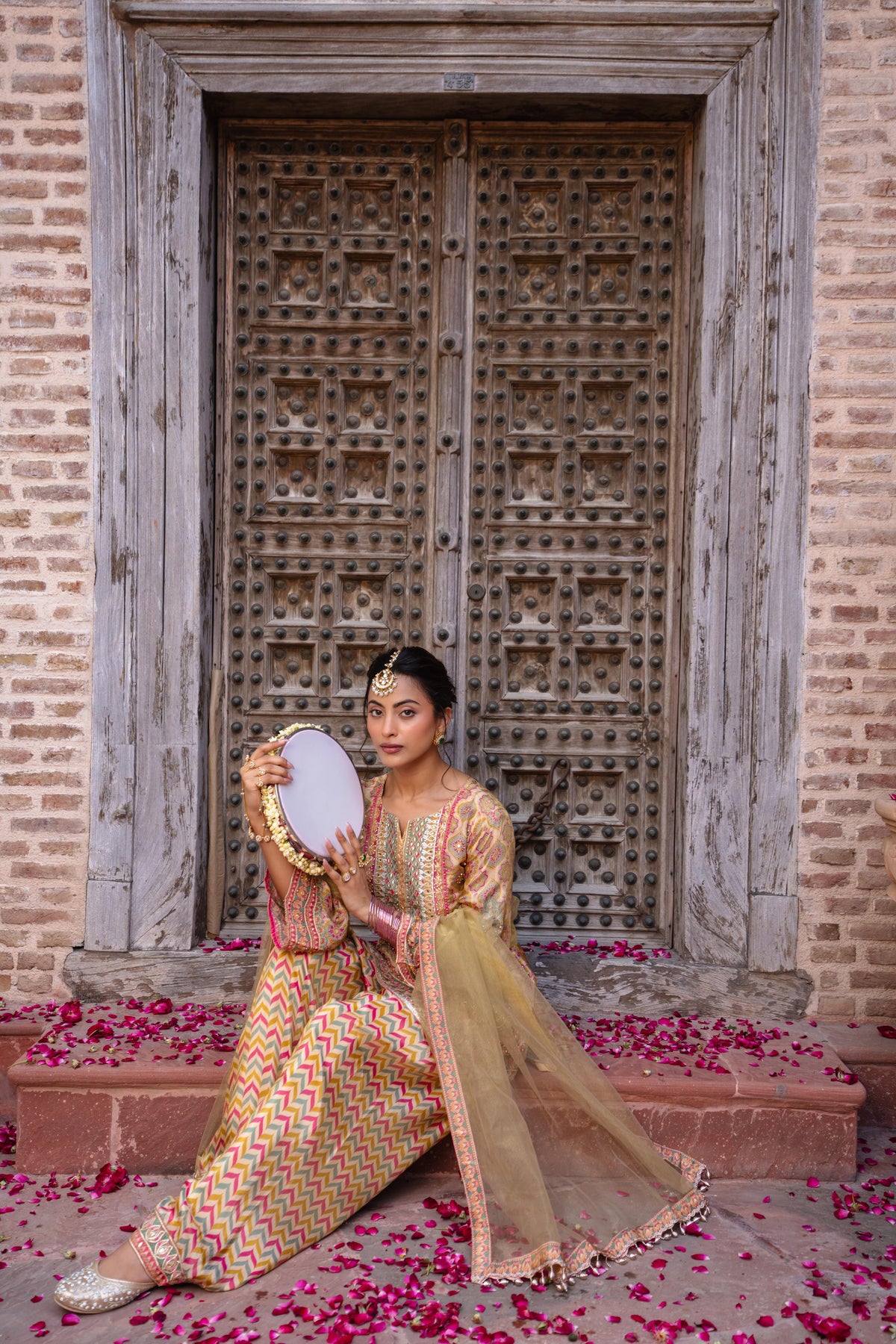 Champagne Beige Embellished  Shimmer Silk Salwar Set