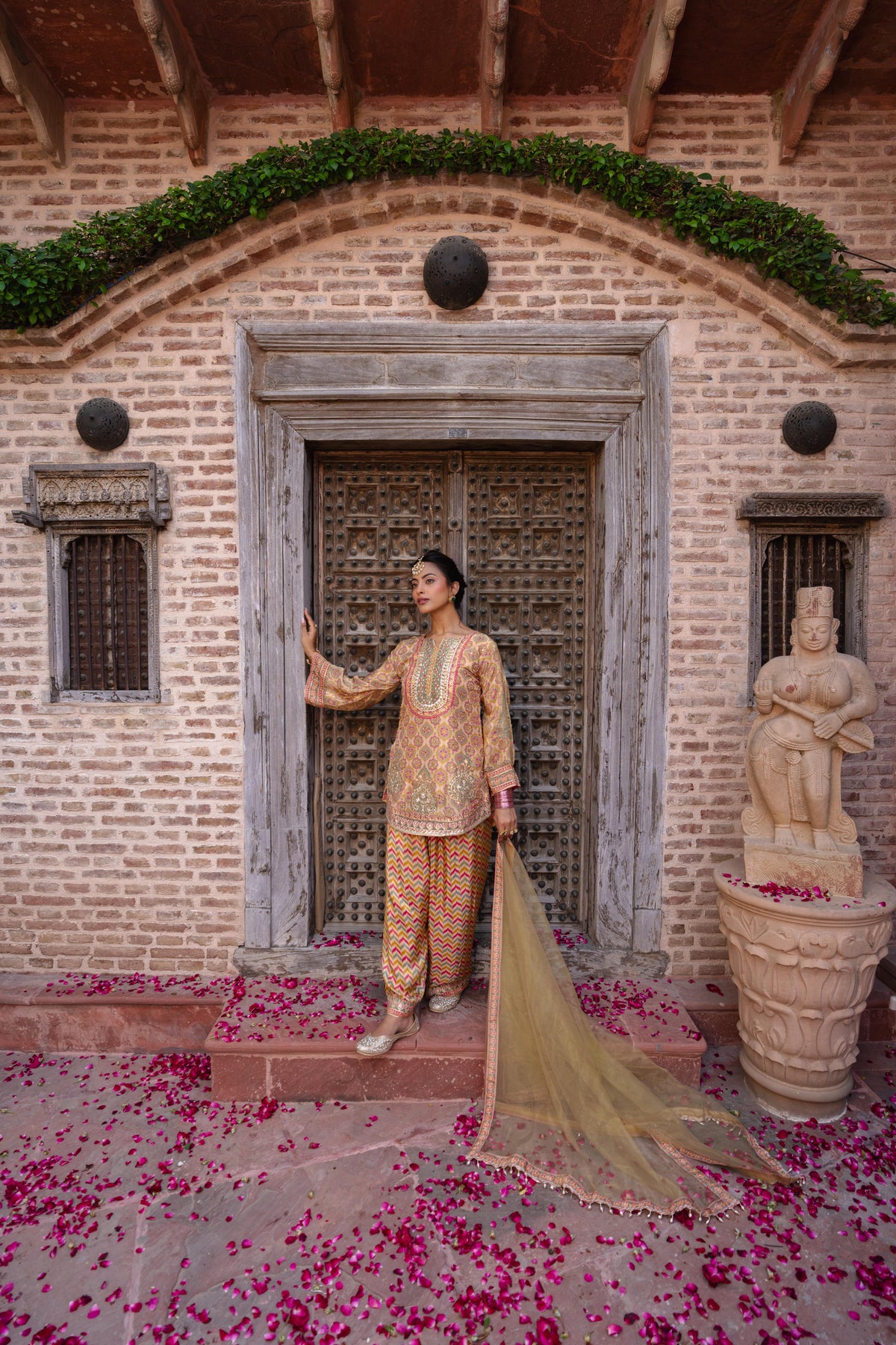 Champagne Beige Embellished  Shimmer Silk Salwar Set