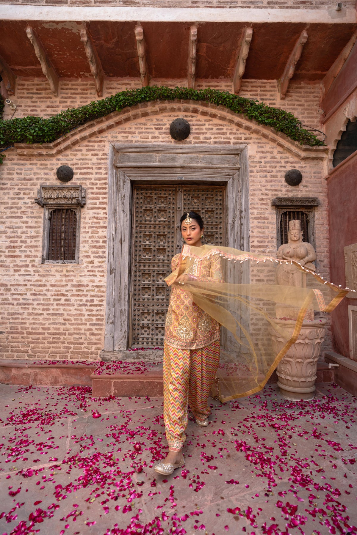 Champagne Beige Embellished  Shimmer Silk Salwar Set